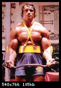 2-arnold_schwarzenegger_001.jpg