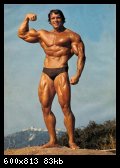 2-arnold_schwarzenegger_003.jpg