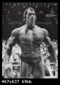 2-arnold_schwarzenegger_004.jpg
