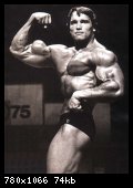 2-arnold_schwarzenegger_005.jpg