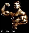 2-arnold_schwarzenegger_006.jpg