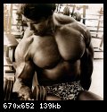 2-arnold_schwarzenegger_009.jpg