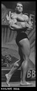 2-arnold_schwarzenegger_012.jpg