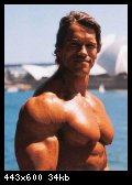 2-arnold_schwarzenegger_013.jpg