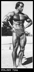 2-arnold_schwarzenegger_014.jpg