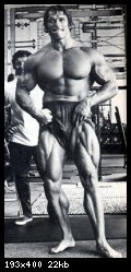 2-arnold_schwarzenegger_029.jpg