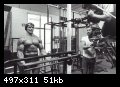 2-arnold_schwarzenegger_031.jpg
