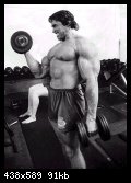 2-arnold_schwarzenegger_037.jpg