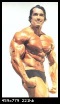 2-arnold_schwarzenegger_047.jpg