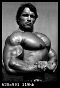 2-arnold_schwarzenegger_050.jpg
