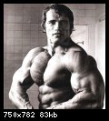 2-arnold_schwarzenegger_051.jpg