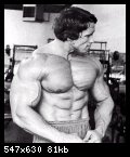 2-arnold_schwarzenegger_052.jpg