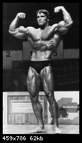 2-arnold_schwarzenegger_053.jpg