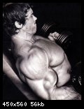 2-arnold_schwarzenegger_055.jpg