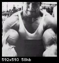 2-arnold_schwarzenegger_060.jpg