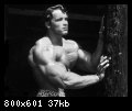 2-arnold_schwarzenegger_061.jpg