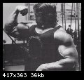 2-arnold_schwarzenegger_062.jpg