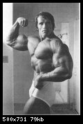 2-arnold_schwarzenegger_065.jpg