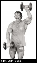 2-arnold_schwarzenegger_075.jpg