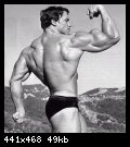 2-arnold_schwarzenegger_077.jpg