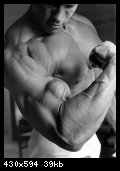 2-arnold_schwarzenegger_084.jpg