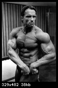 2-arnold_schwarzenegger_092.jpg