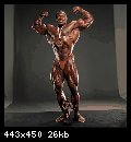 2-haney_lee_003.jpg