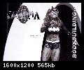2-wp137.jpeg